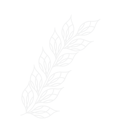 Decorative leaf graphic