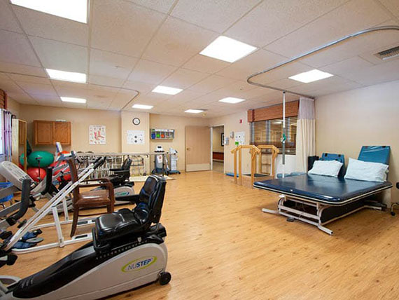 Nurse feeling a patients knee